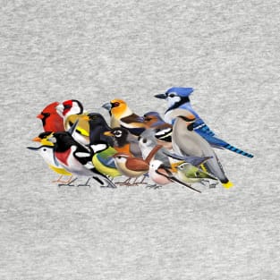 Year of the Bird - Birds of North America and Europe T-Shirt